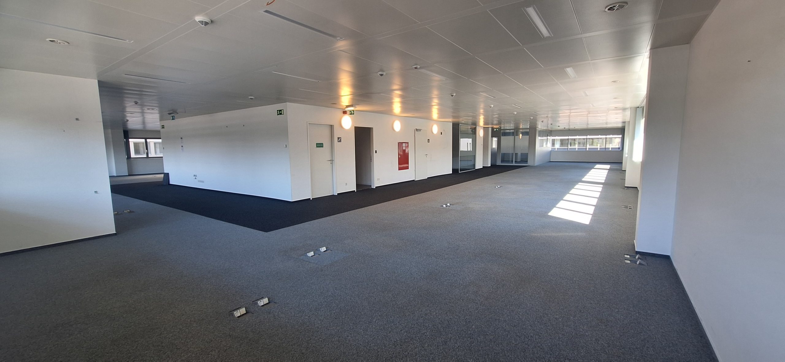 Read more about the article 1,500 m² combo 1st and 2nd floors (Alouette)