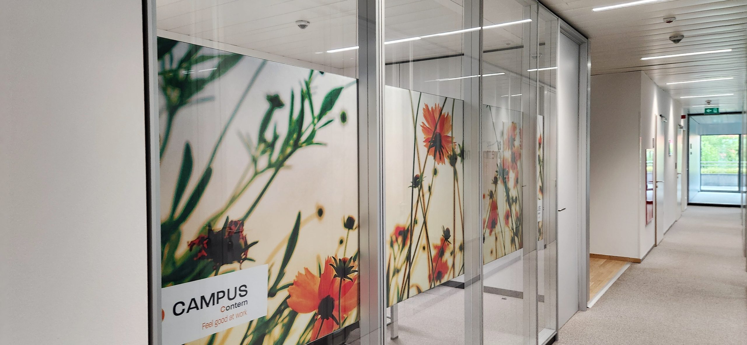 Read more about the article 7 private coworking offices on the ground floor (Colibri)