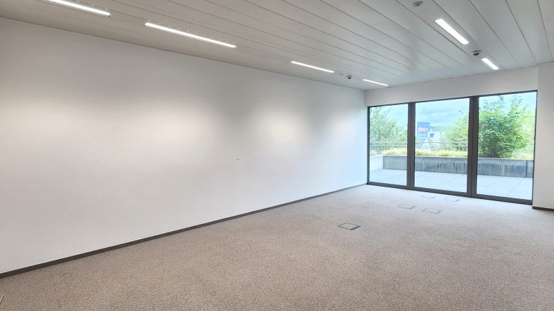 campuscontern.lu_BC_colibri_b01