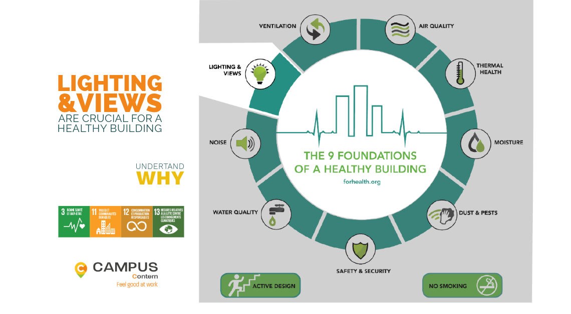 Lire la suite à propos de l’article Les bases d’un bâtiment sain // L&rsquo;éclairage et la vue sont importants pour le bien-être
