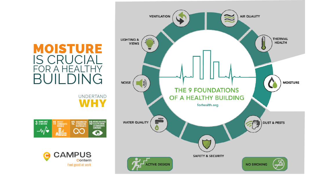 Read more about the article The basics of a healthy building // Controlling humidity protects health and productivity