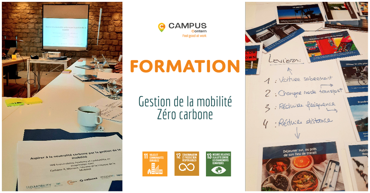 Read more about the article Zero-carbon mobility training offered to our tenants: key takeaways