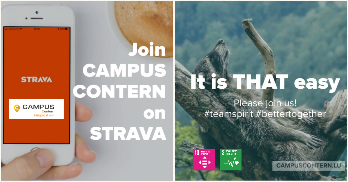 Read more about the article CAMPUS CONTERN now has a group on Strava.