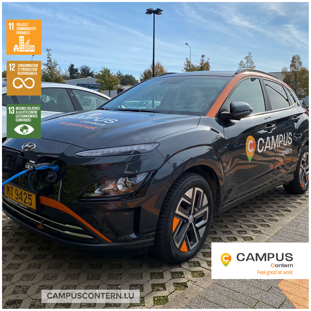 Read more about the article Smart mobility: our new car-sharing vehicle